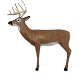 @HILL COUNTRY WHITETAIL PRO 3D TARGET 42"x24"x18" (ASA)