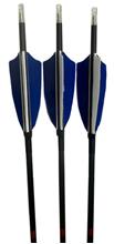 ARROWS CAN-ARC CARBON TARGET 1200 3"FEATHERS 72PK