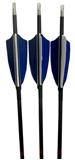 ARROWS CAN-ARC CARBON TARGET 1000 3"FEATHERS 30" RTS 72PK