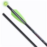 HEA-6793 PRO-ELITE 400 SELECT LIGHTED 20"CARBON BOLTS 3PK